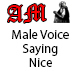 Male Voice Saying Nice
