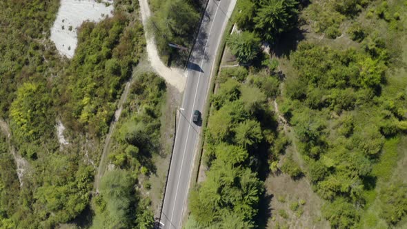 Asphalt Serpentine Highway Among Green Dense Forest Trees