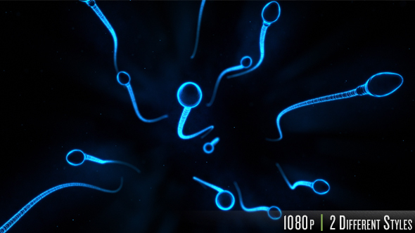 Sperm Swimming in 3D