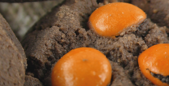 Sweet Delicious Crisp Dessert Cookies and Biscuits 16 alt