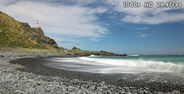 Cape Palliser Beach New Zealand