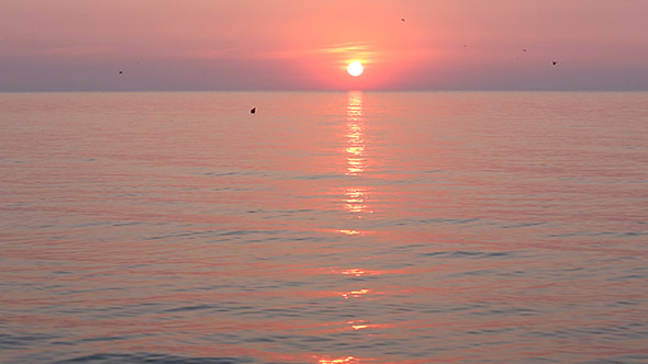 Sun Rising Over Horizon And Pink Sea.