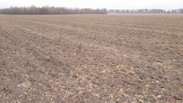 Land in a Plowed Field in Autumn