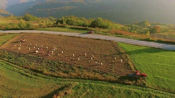 Aerial Mountain Farmland