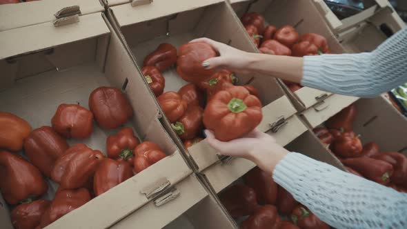 Chooses red bulgarian pepper on the market