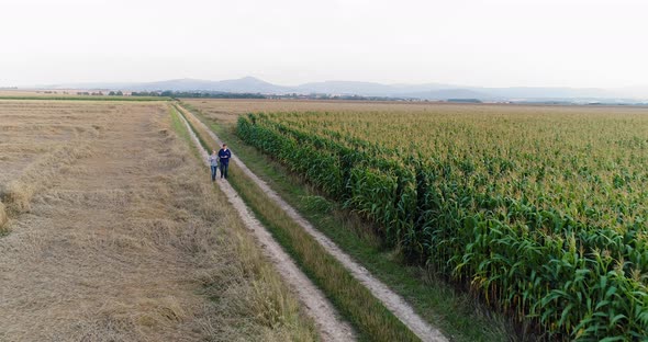 Young Farmers Discussing At Maize Field Agriculture