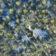 Flying Over The Forest In Winter. Rotating Forest - VideoHive Item for Sale