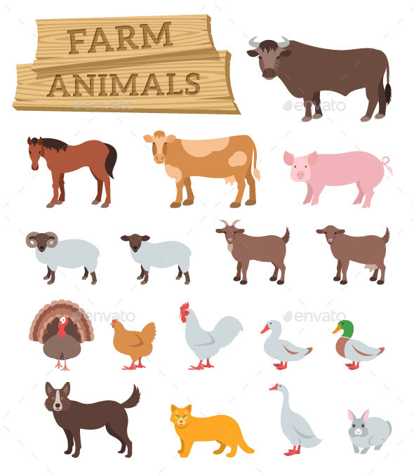 Domestic Farm Animals Flat Illustrations