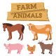 Domestic Farm Animals Flat Illustrations - GraphicRiver Item for Sale