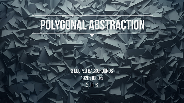 Polygonal Abstraction