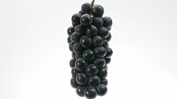 Grape in front of White Background 4k