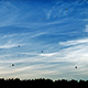 Air Balloons Fly in the Sky - VideoHive Item for Sale