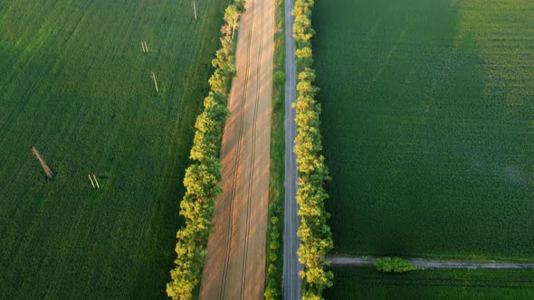 Drone Flying Over Road Between Green Agricultural Fields During Dawn Sunset