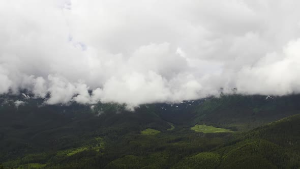 Misty Forest in Mountain. Marvelous View of Over Pine Forest in the Morning.