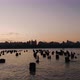 Early Morning Skyline in New York City - VideoHive Item for Sale