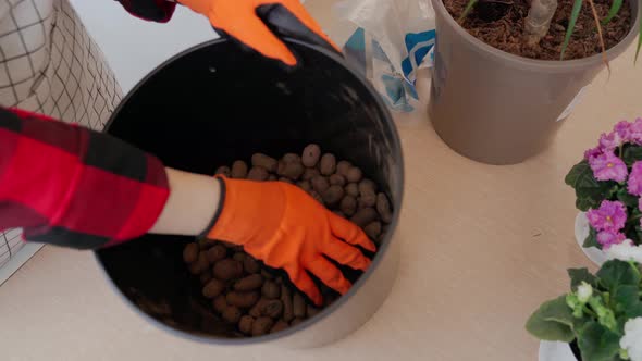 Female Hands in Gloves Level Expanded Clay in a Flower Pot
