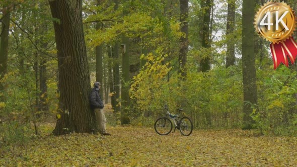 Man With Backpack Stands Leaning on the Big Tree