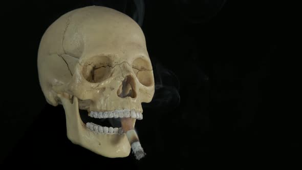 Smoking Skull.