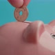 Saving Up Yen Coins In a Piggy Bank - VideoHive Item for Sale