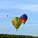 Air Balloons over the Forest - VideoHive Item for Sale