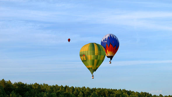Air Balloons over the Forest