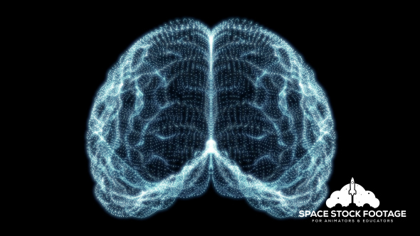 Holographic Particle Brain alt