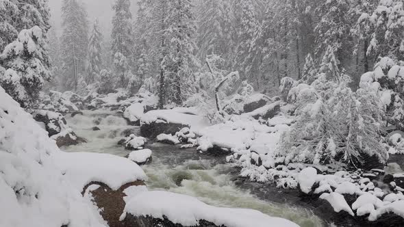 A snowy winter landscape in Yosemite National Park