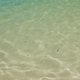 Ripples on Clear Sea Water - VideoHive Item for Sale