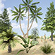 Plants Grass and Trees Pack - 3DOcean Item for Sale