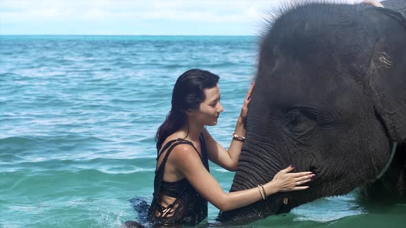 Girl Petting the Elephant in the Ocean
