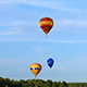Air Balloons Fly over the Forest in Evening - VideoHive Item for Sale