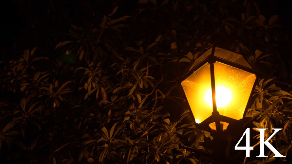  Night Lamps