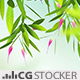 Spring Celebrations - VideoHive Item for Sale