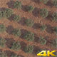 Olive Trees - VideoHive Item for Sale