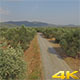 Country Road - VideoHive Item for Sale