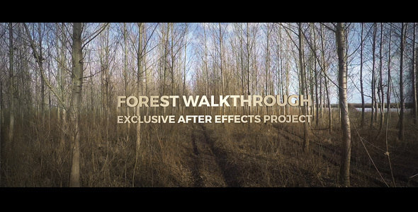 Forest Walkthrough
