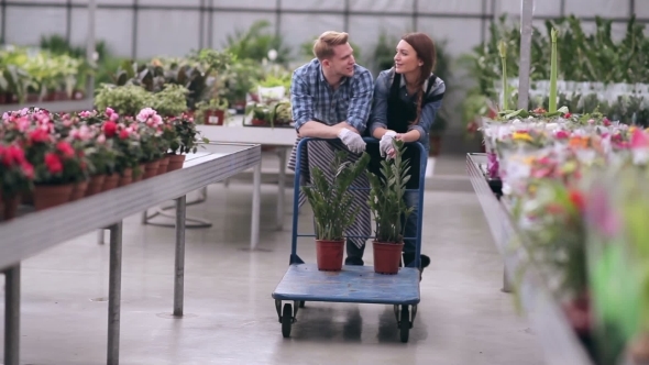 Florists Talking During Work alt