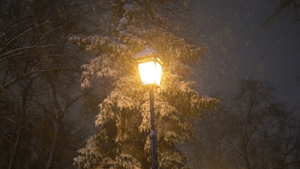 Snowfall In Night 3