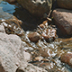 Water Threshold with Stones - VideoHive Item for Sale