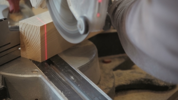  Carpenter Cutting Plank Wood By Circular Saw