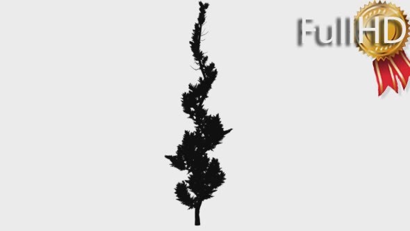Hollywood Juniper Silhouette Animated Curved Tree alt