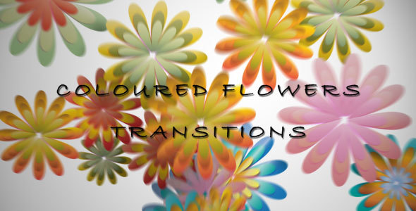 Coloured Flowers Transitions alt