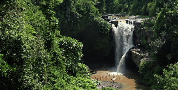 Waterfall In The Jungle