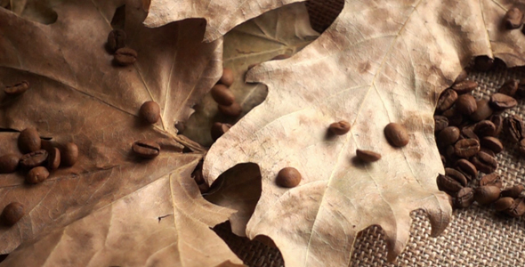 Roasted Coffee 3 alt