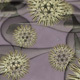 Virus in Cells Attacking - VideoHive Item for Sale
