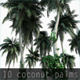 10 coconuts trees - 3DOcean Item for Sale