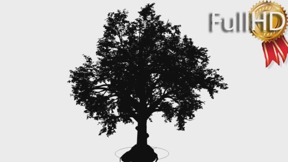 Broadleaf Deciduous Tree Silhouette of Animated