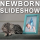 Kittens Lullaby - Baby Photo Album - VideoHive Item for Sale