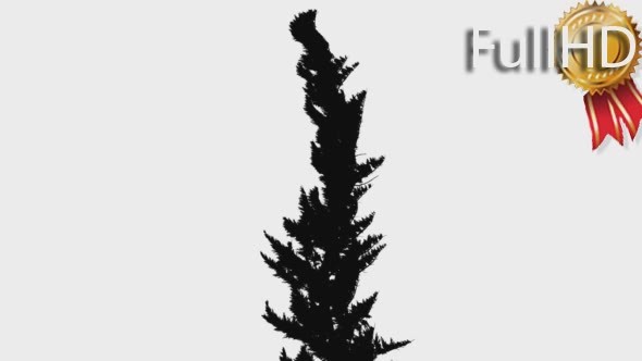 Hollywood Juniper Shrub Silhouette Animated Tree alt