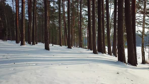 Winter Lake Streshno 13